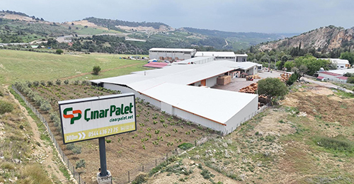 Ahşap Palet Fabrikası